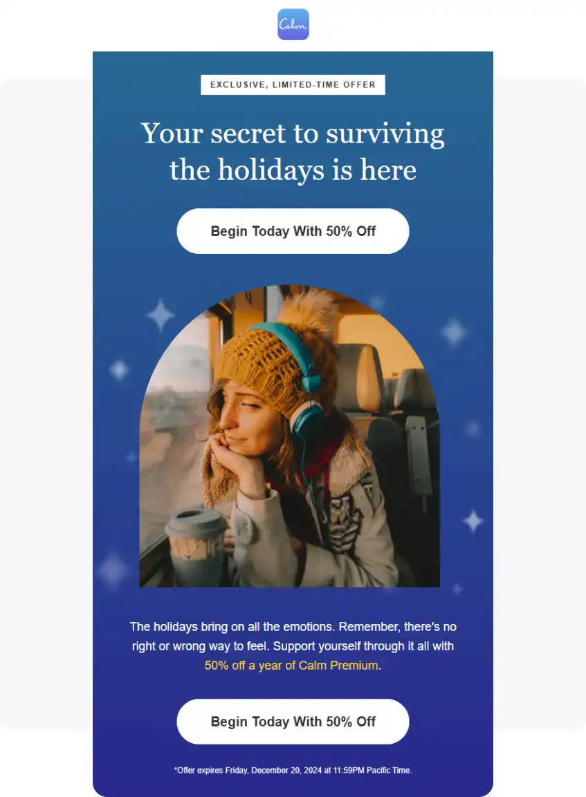 Holiday marketing campaign example